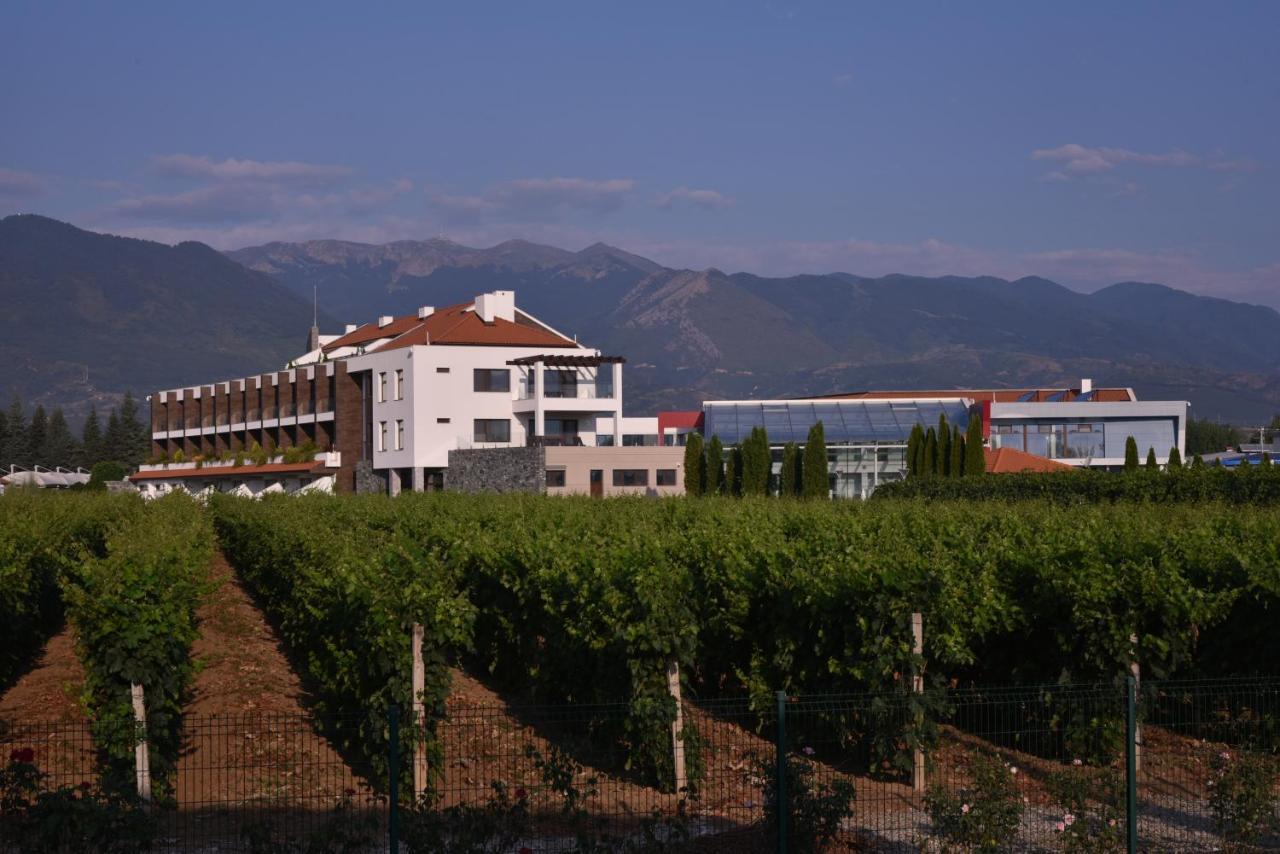 Uva Nestum Wine & Spa Gotse Delchev Bagian luar foto
